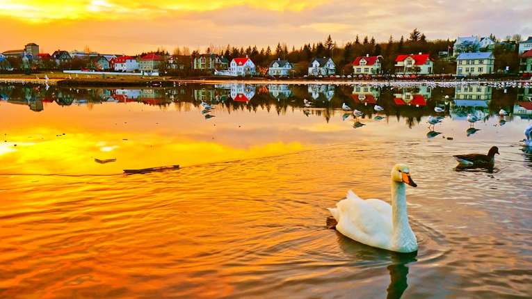 Reykjavik - Fly til København hvor turen slutter