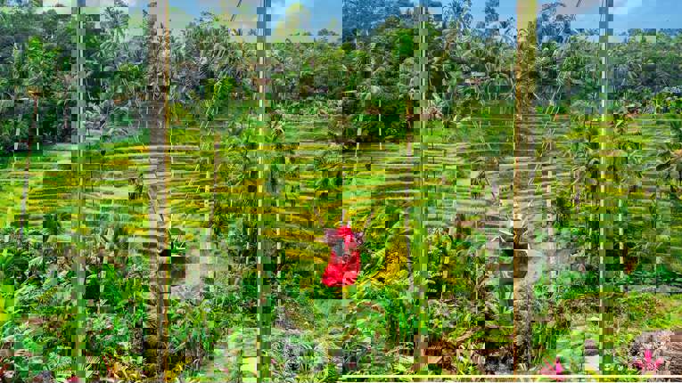 Fra 14:00 til 18:00 dagen efter - Bali, Indonesien