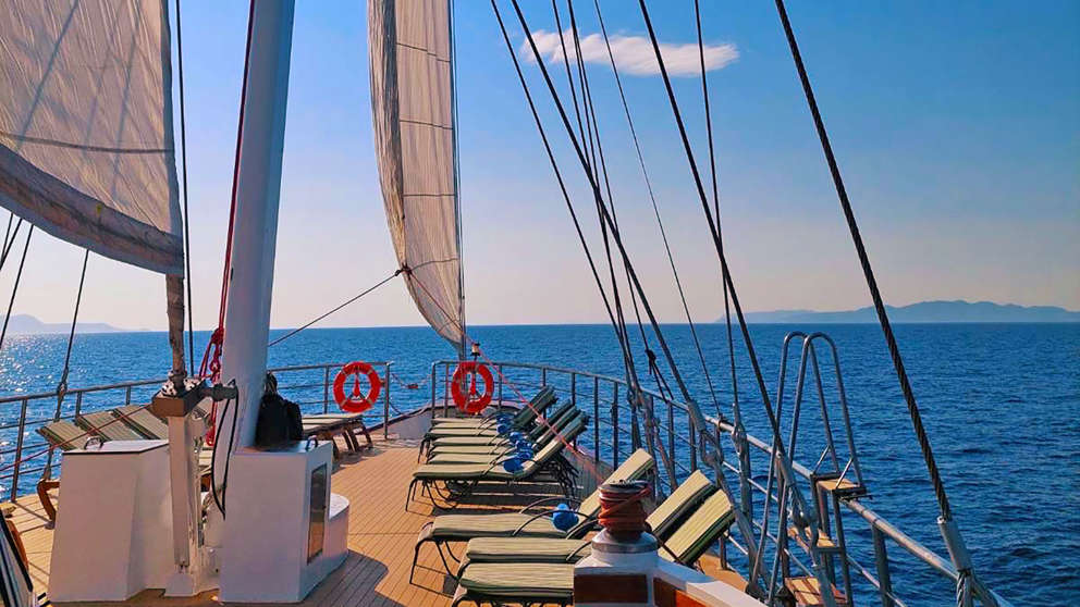 M/S Panorama II