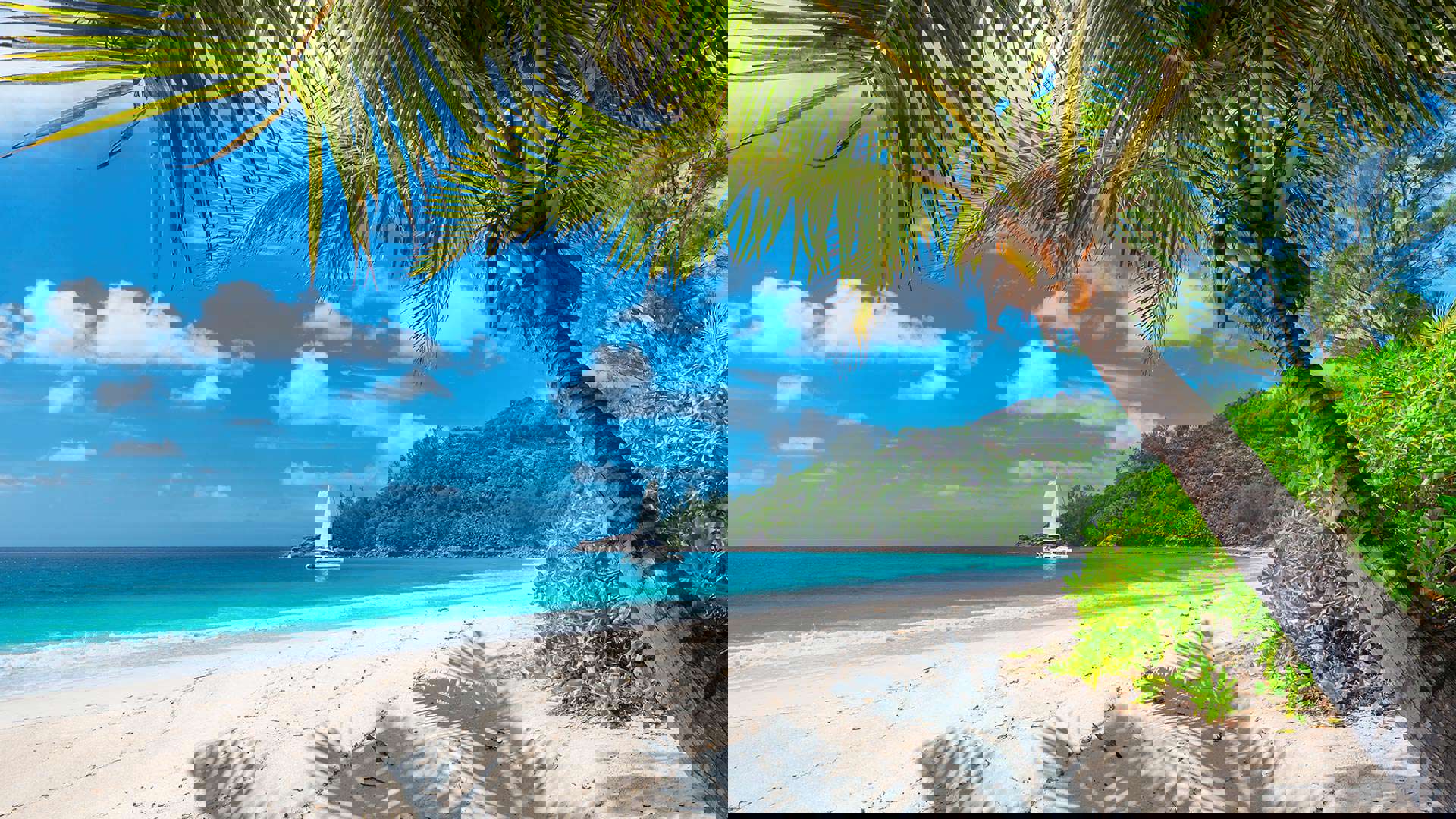 1920X1080 Nicobar Beach
