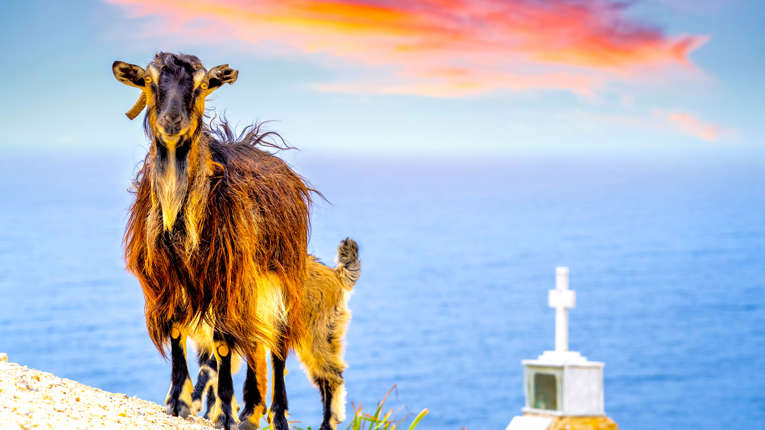 Poliegos - Folegandros