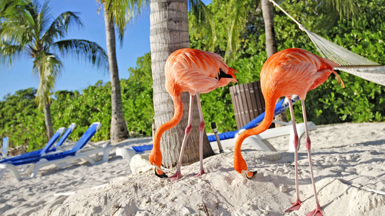 Oranjestad - Aruba