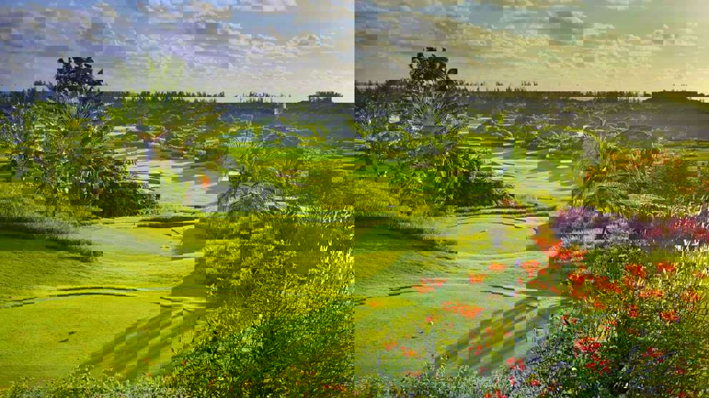 1920X1080 Heritage Chateau Flowers