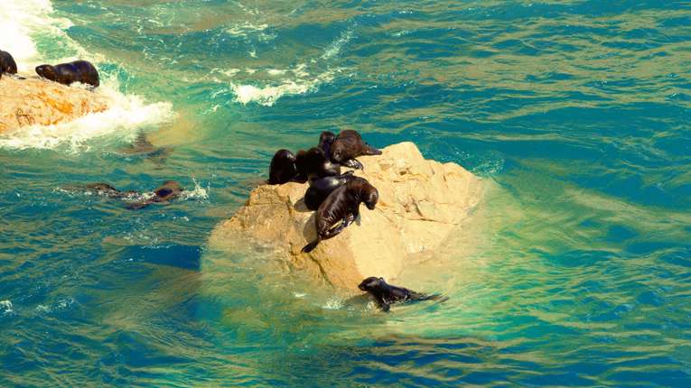 Elephant Island (Cape Lookout)