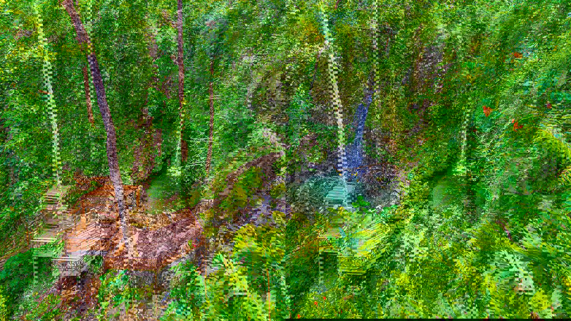 1920X1080 Dominica Emerald Pool