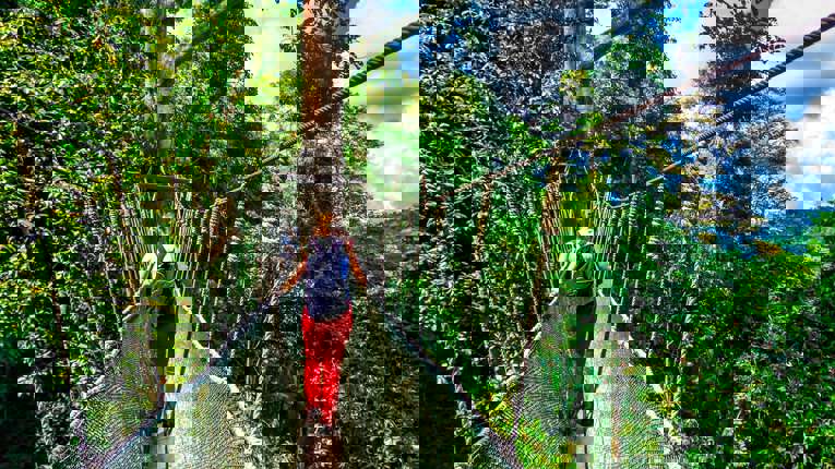 Kota Kinabalu - Borneo