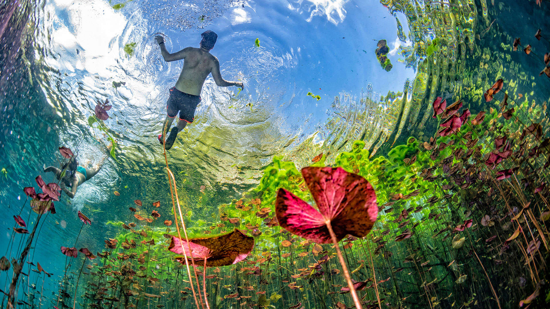 1920X1080 Yucatan Cenote Swim