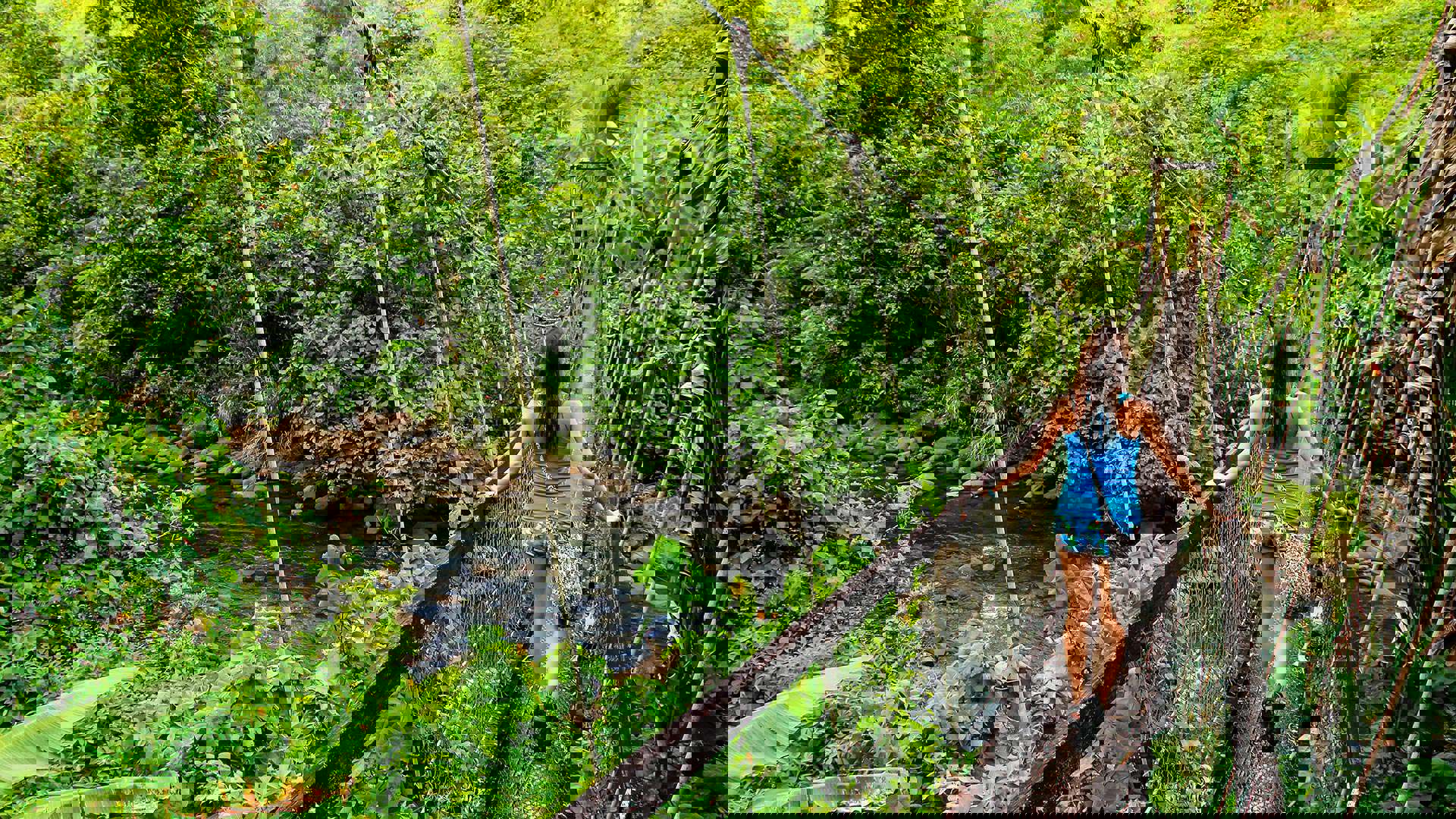1920X1080 Fiji Wainibau Stream Lavena Walk