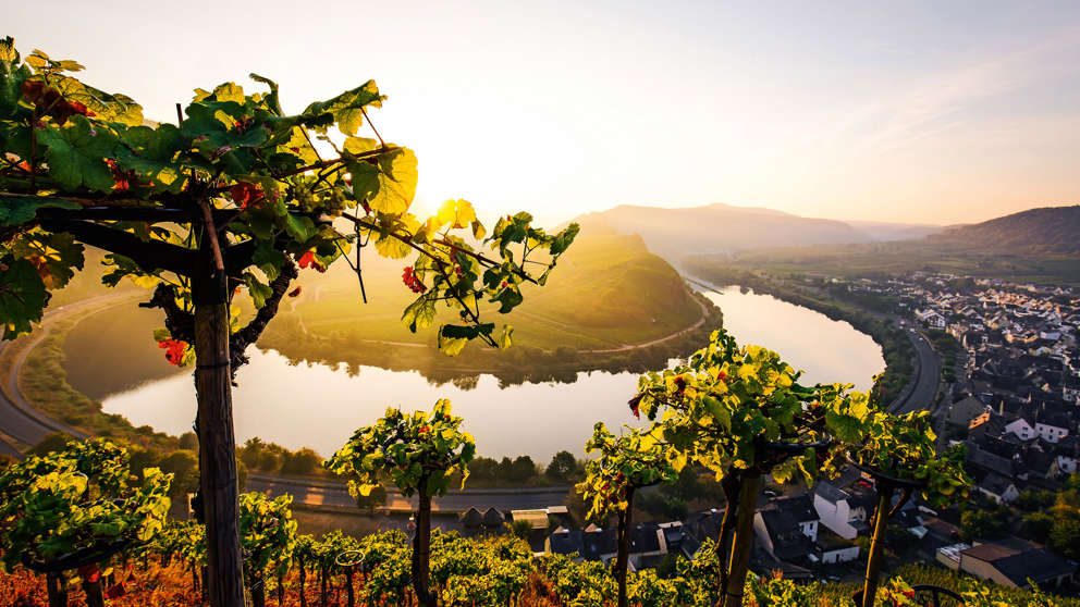 1920X1080 AROSA Mosel