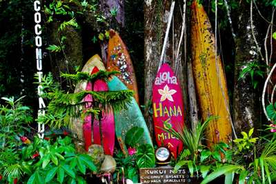 Hawaii / Californien / Mexico