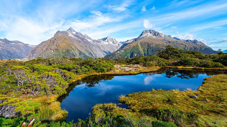 Fiordland N. P.