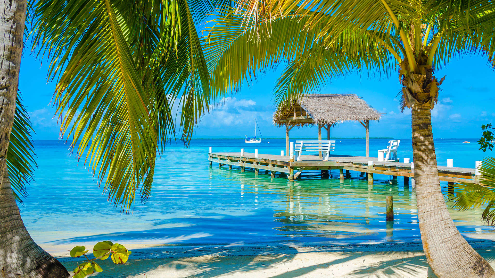 1920X1080 Harvest Caye Beach, Belize
