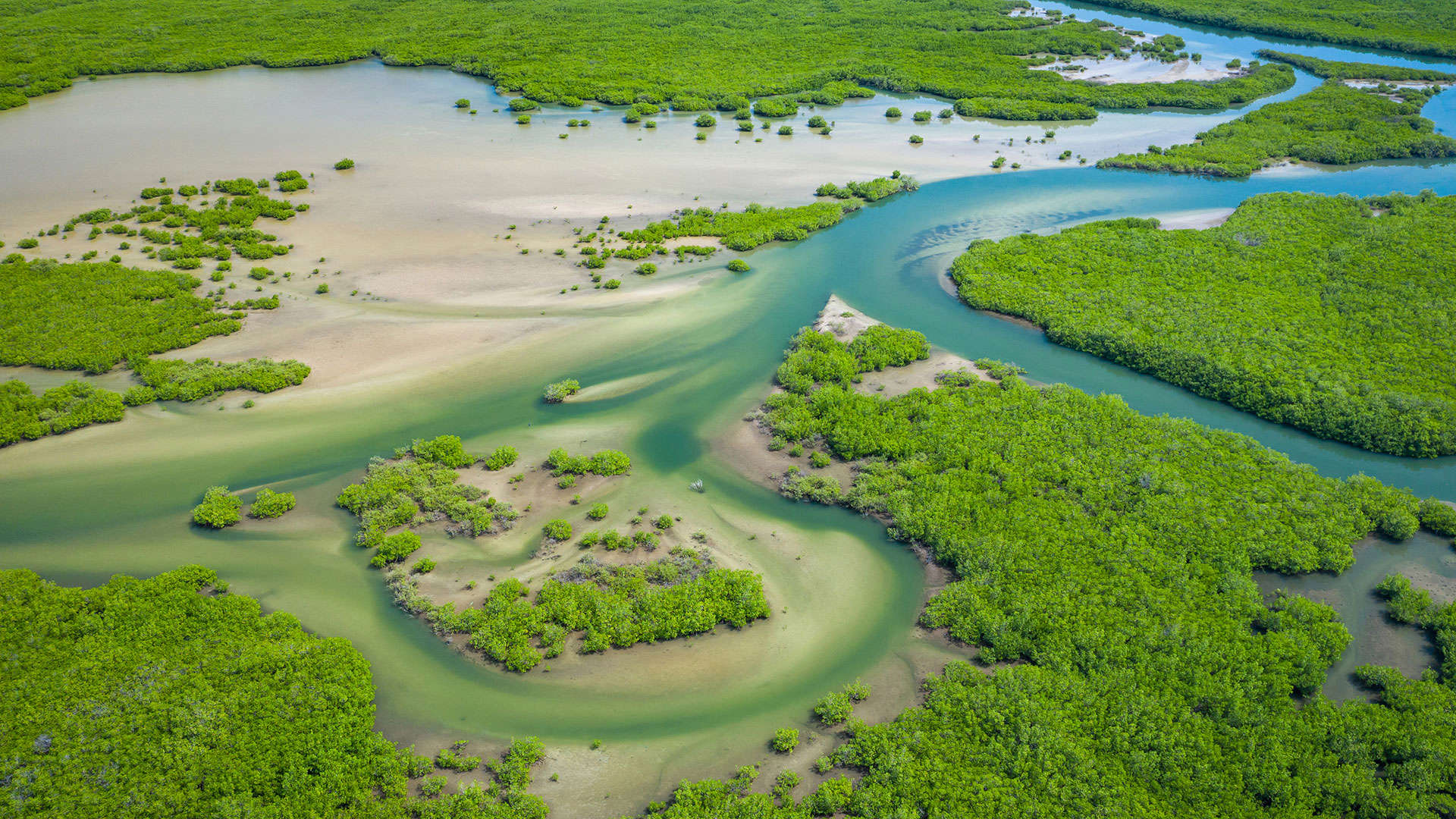 1920X1080 Gambia Saloum Delta N.P.