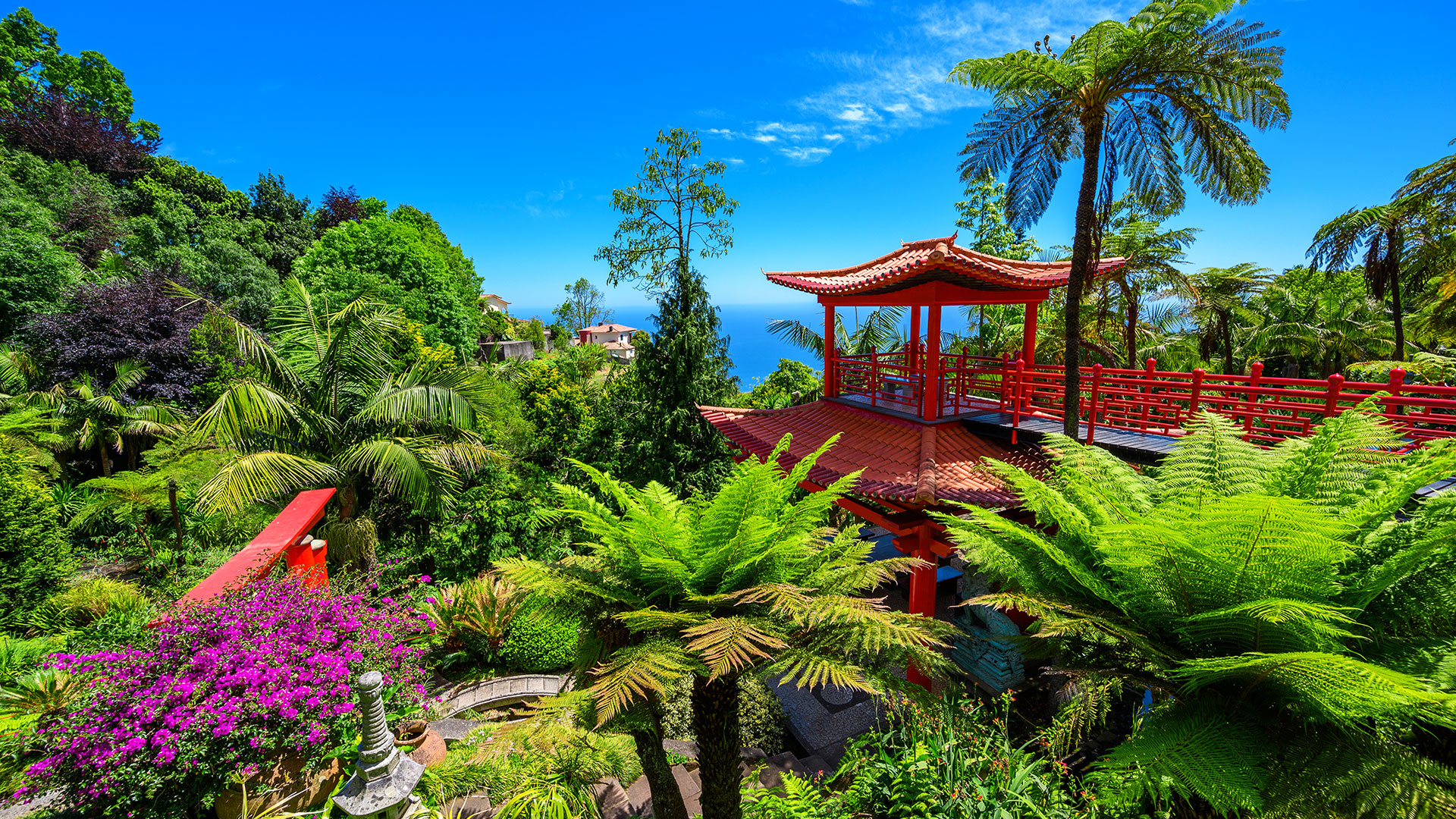 1920X1080 Funchal Monte Palace Tropical Garden