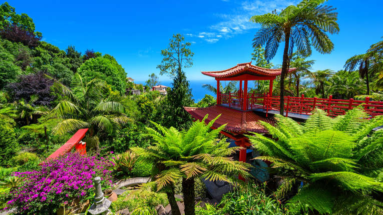 En dag på Madeira