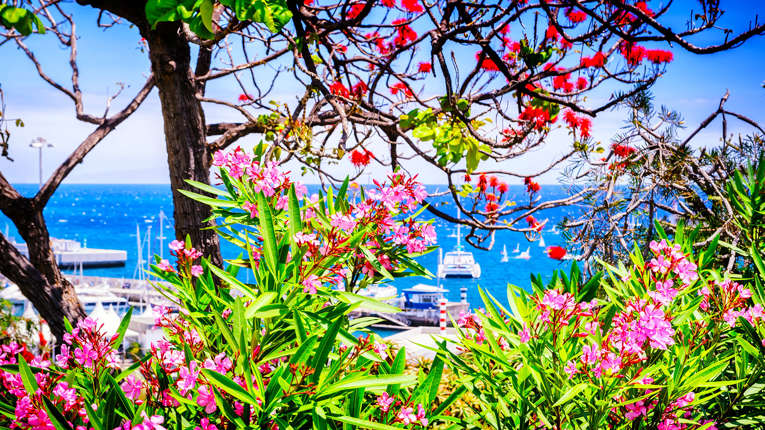 Kl. 07.00 ankomst til Funchal, Madeira