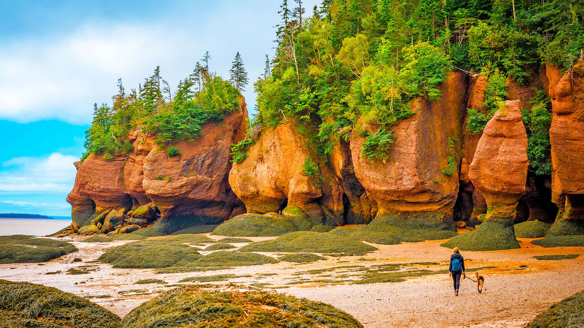 1920X1080 Saint John Hopewell Rocks Provincial Park, Bay Of Fundy Shutterstock 2367569093