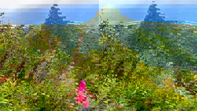 Pitcairn Island