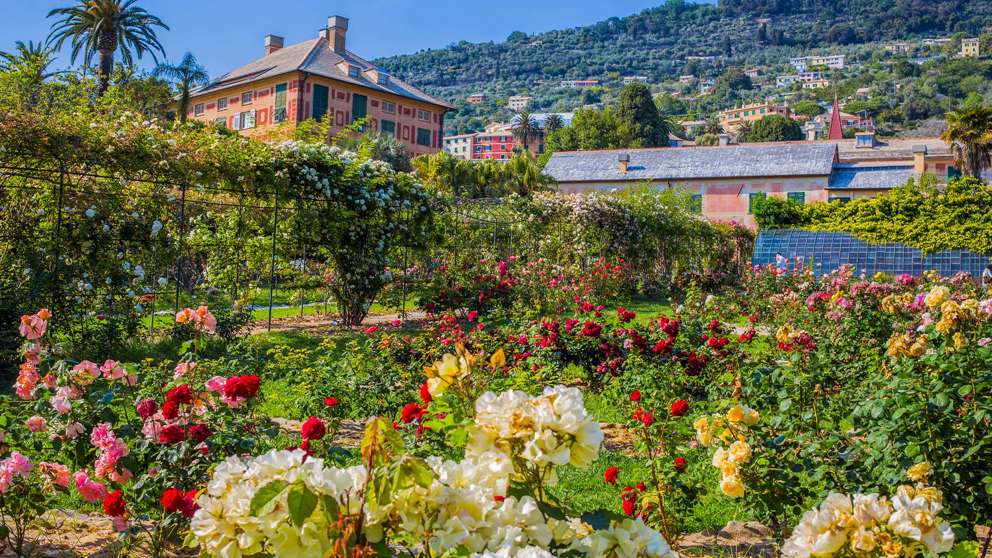 1920X1080 Genova Il Roseto