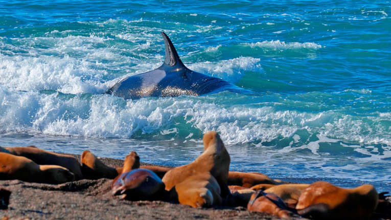 Puerto Madryn