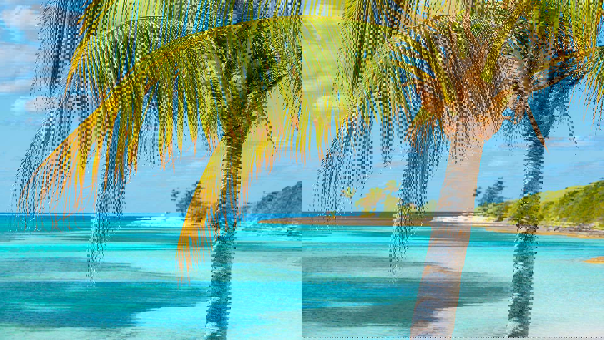 1920X1080 Bahamas Coco Cay