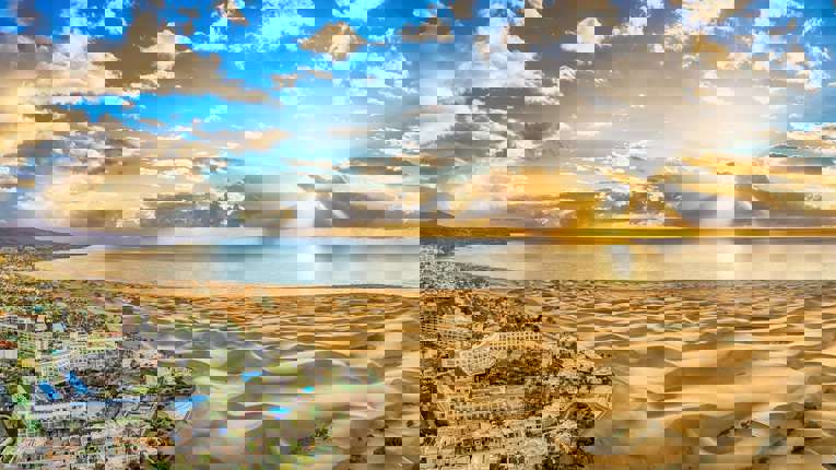 10:00 – 19:00 Las Palmas, Gran Canaria