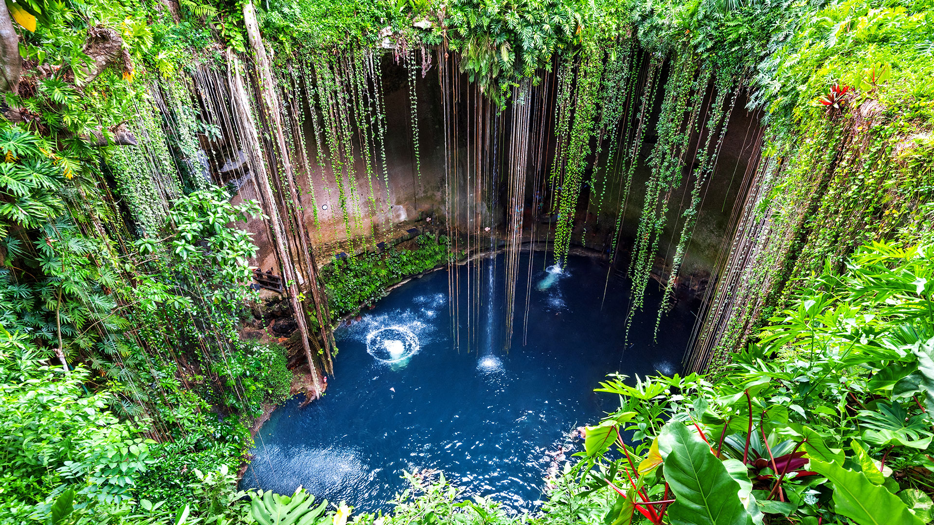 1920X1080 Costa Maya Cenote Ik Kil