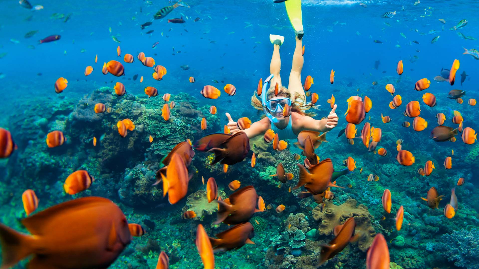 1920X1080 Bahamas Ocean Cay Snorkling