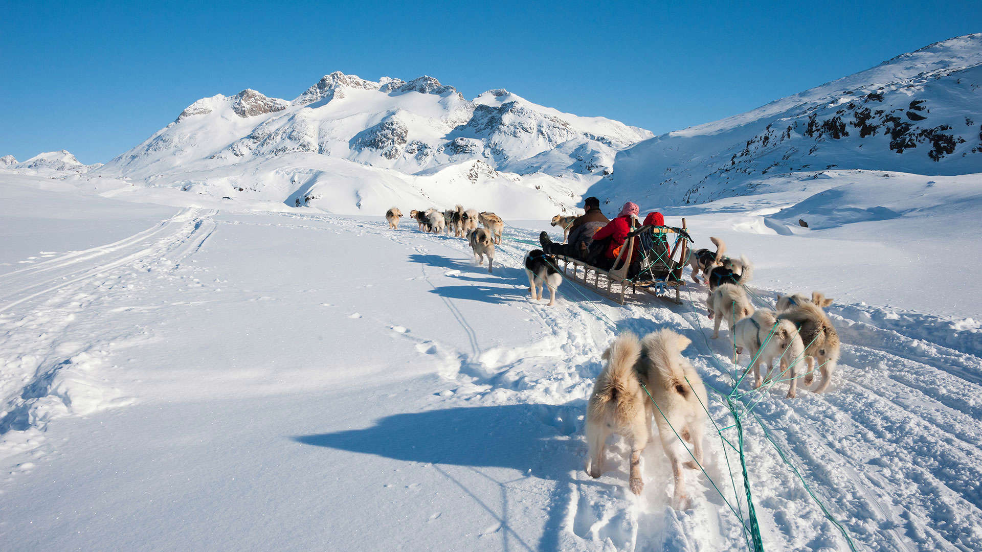 1920X1080 Dogsledding Shutterstock 206575477