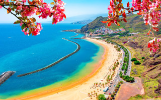 Kanarieøerne - med Madeira