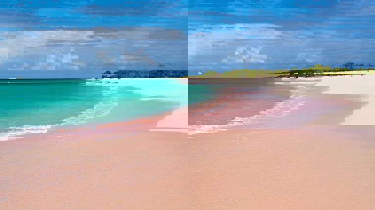 Fra 08:00 til 18:00 - St. John's, Antigua & Barbuda