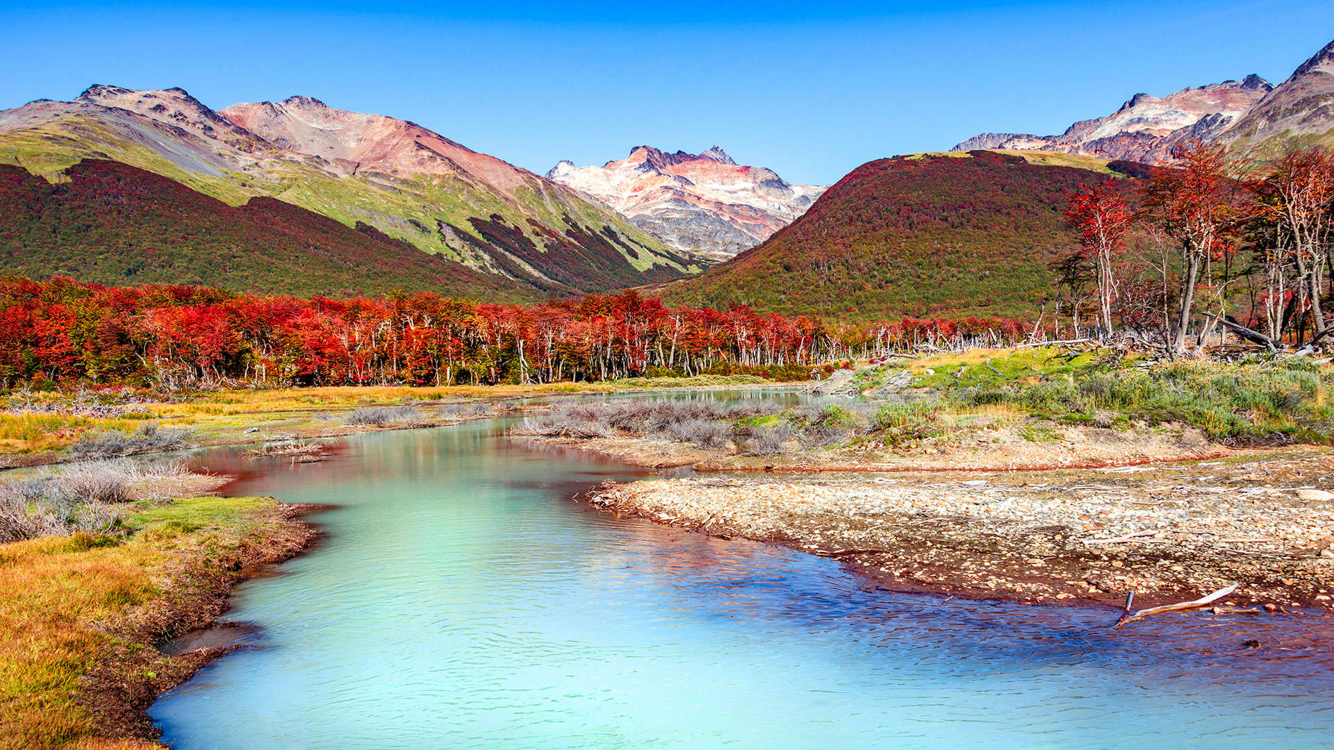 1920X1080 Ushuaia Lenga Forest, Mountains At Tierra Del Fuego National Par