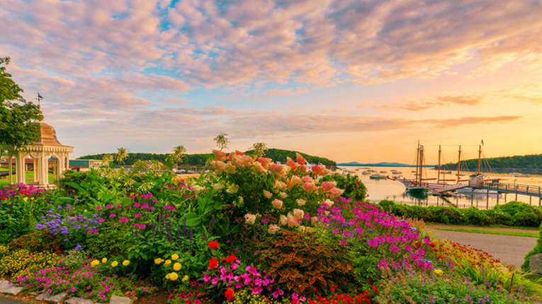 Bar Harbor