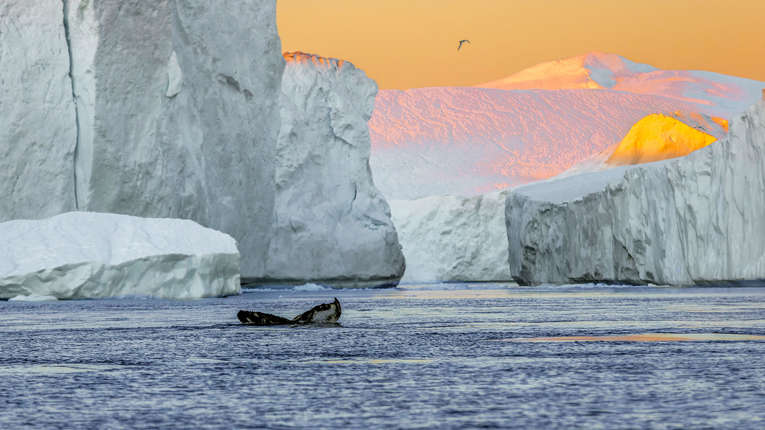 Ilulissat