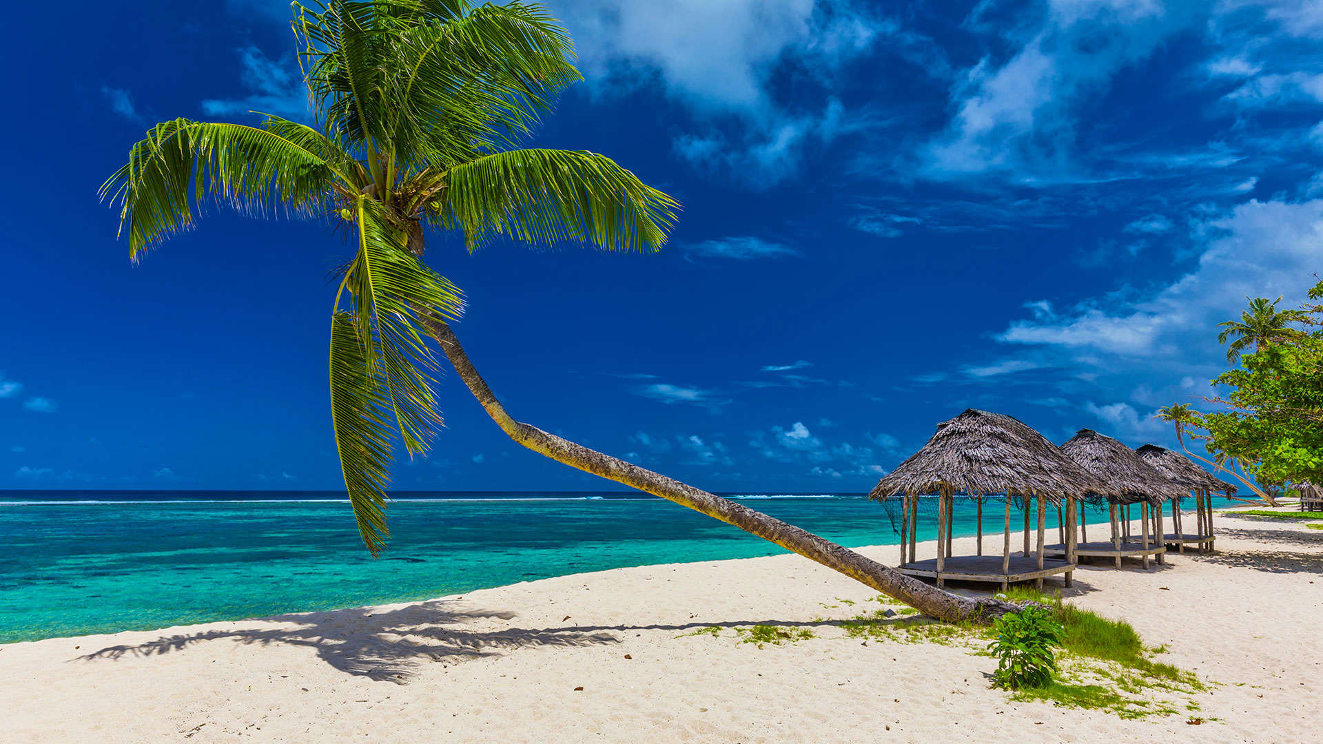 1920X1080 Samoa Tropisk Strand