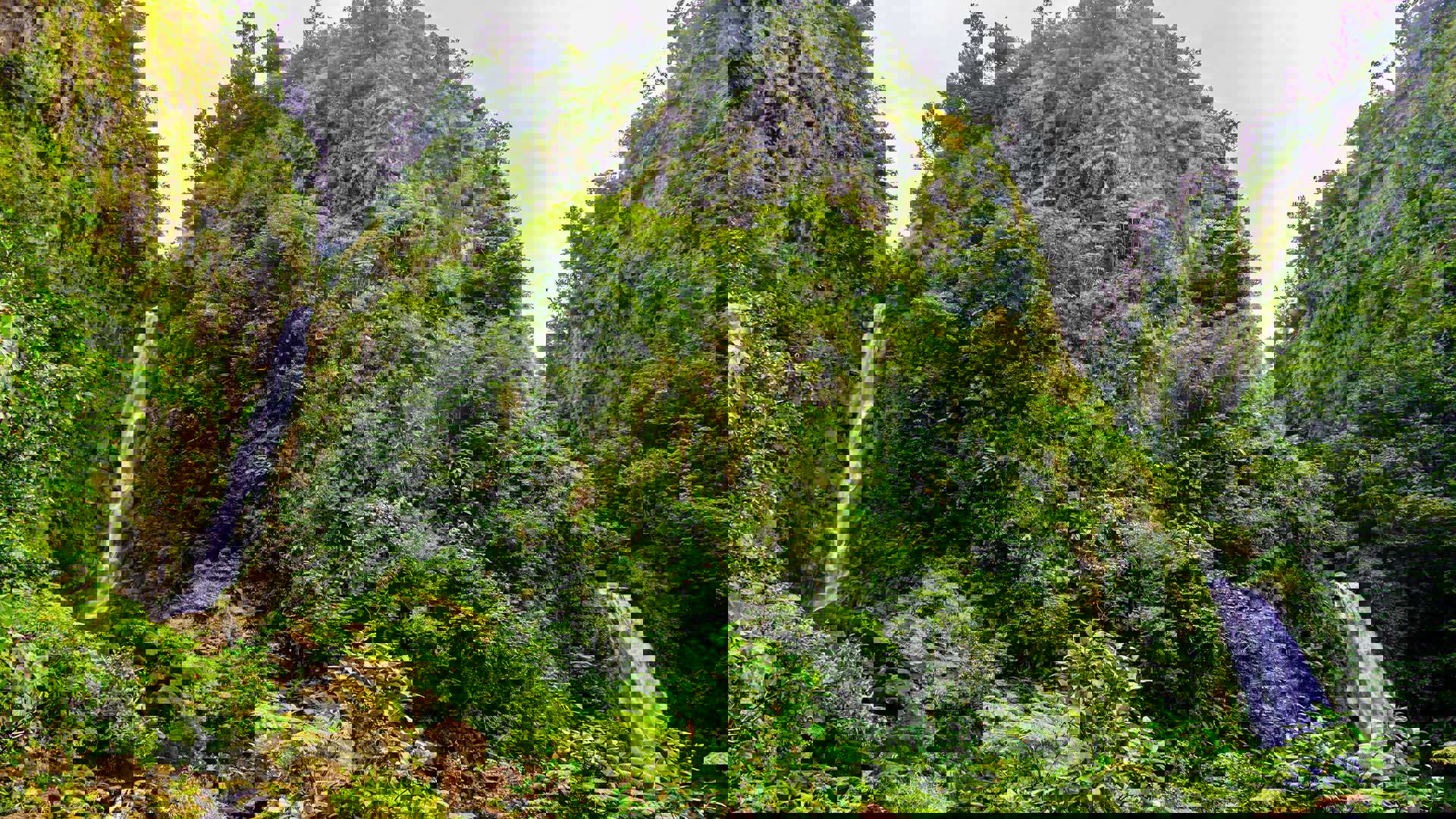 1920X1080 Dominica Trafalgar Fall