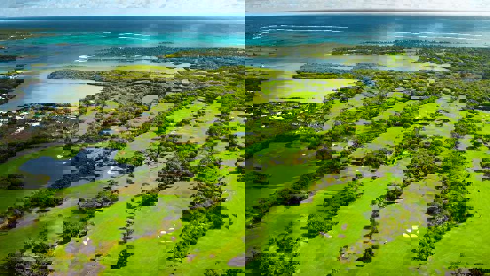 1920X1080 Constance Links Vue4