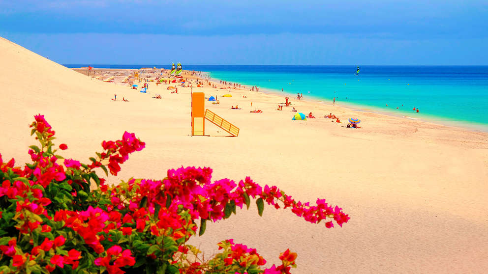 1920 X1080 Fuertoventura Playa Matorral I Morro Jable