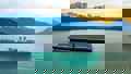 1920X1080 Hollandamericaline