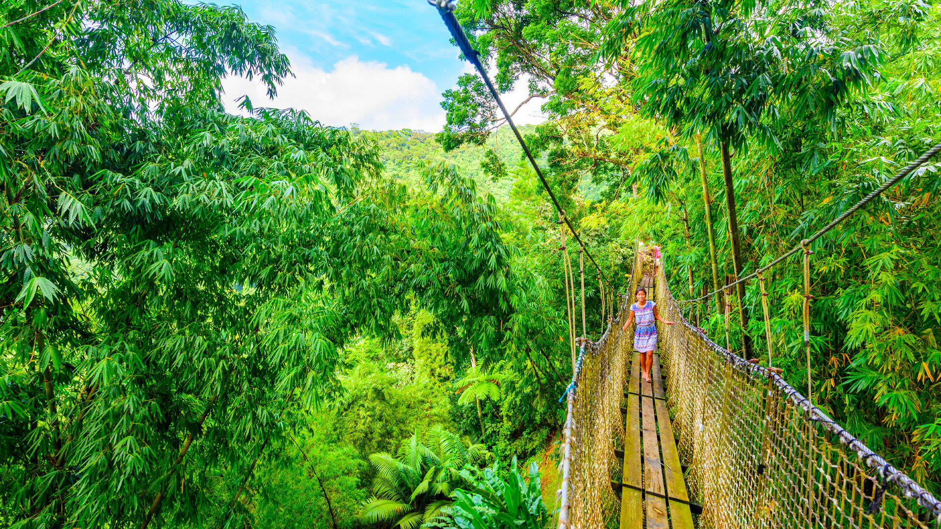 1920X1080 Martinique Baleta Garden