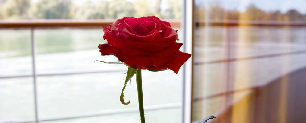 A-Rosa Sena Rose i kahyt