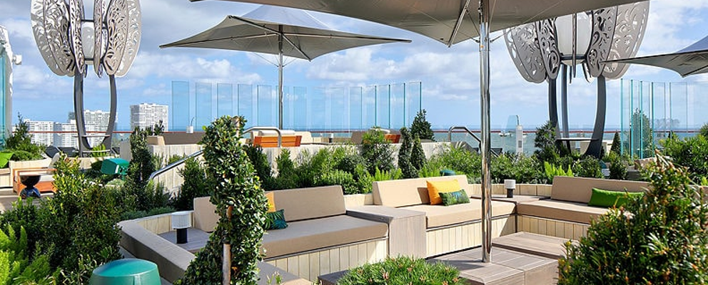 rooftopt-garden