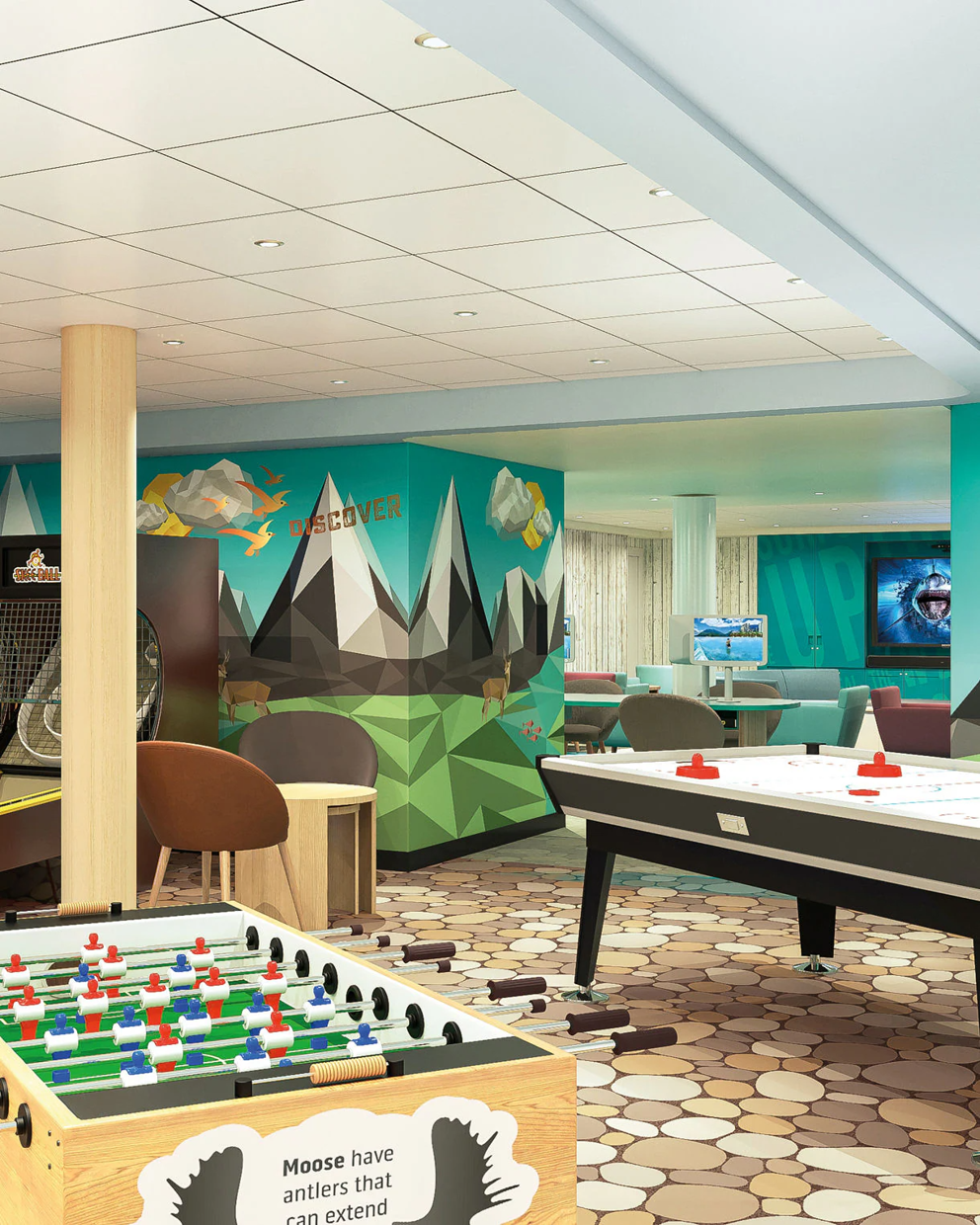 Play Area