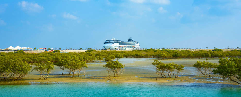MSC Opera ved Sir Bani Yas Island